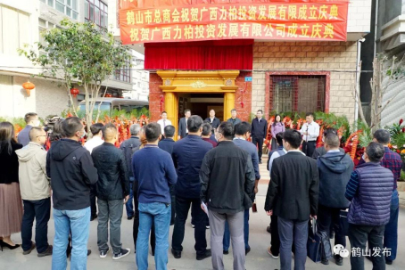 001  广西力柏投资发展有限公司成立揭牌.jpg