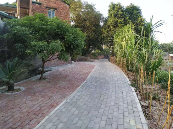 整洁环境6.jpg