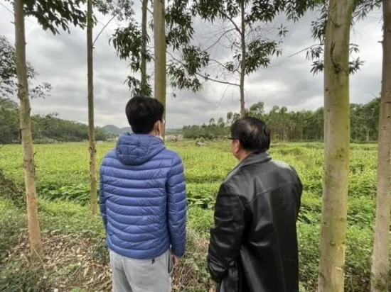 已处理165000634268907.jpg