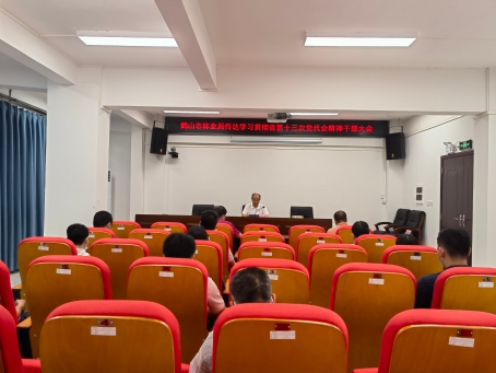 已处理165390363440545597c77d675d9a5b4de184b4aef1f7.jpg