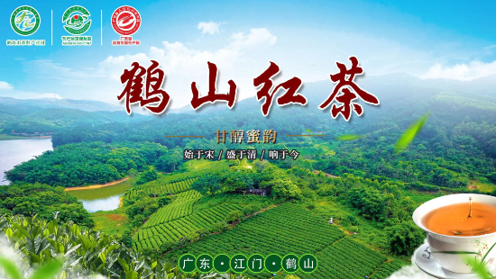 已处理167270795831701.png
