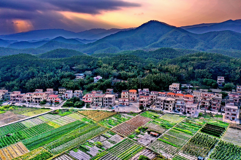 11747902_调整大小.jpg