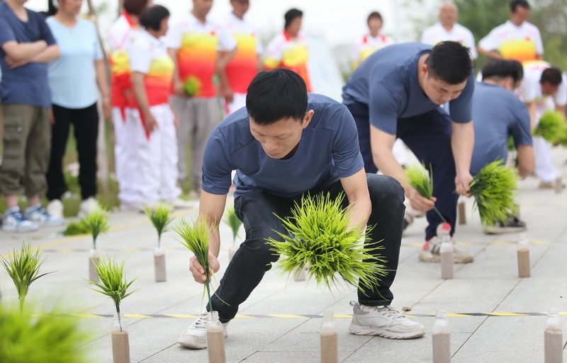 11890160_调整大小.jpg