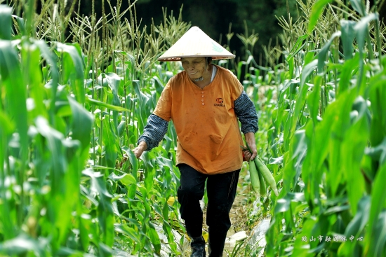 已处理168446165803003.jpg