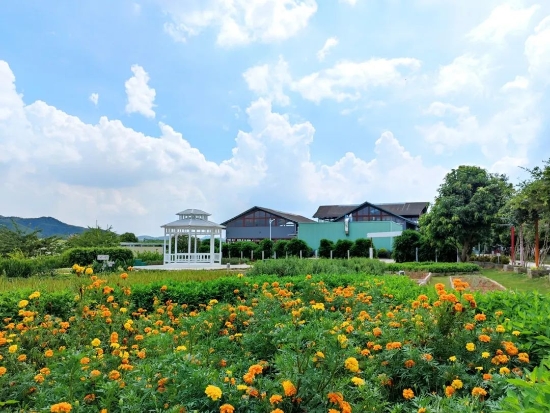 已处理171593700523803.jpg