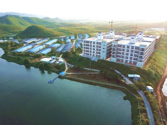 已处理171593700523808.jpg