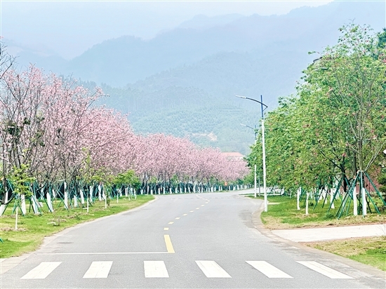 已处理171713756608001.jpg