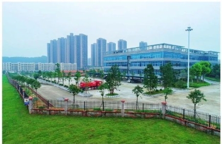 已处理17176570912836.jpg
