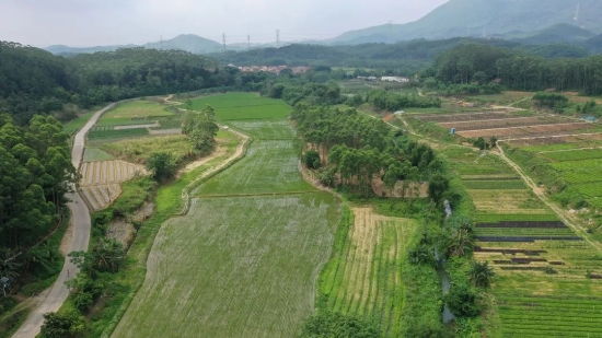 已处理171895502005003.jpg
