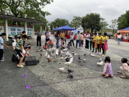 已处理1732176656263图片3.png