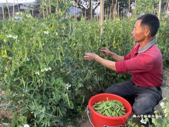 已处理173647128704702.jpg