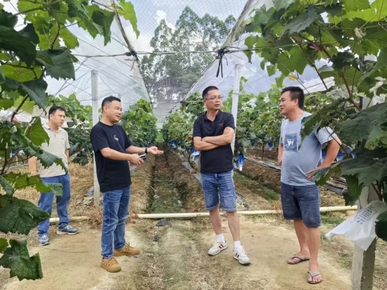 已处理173708406361403.jpg