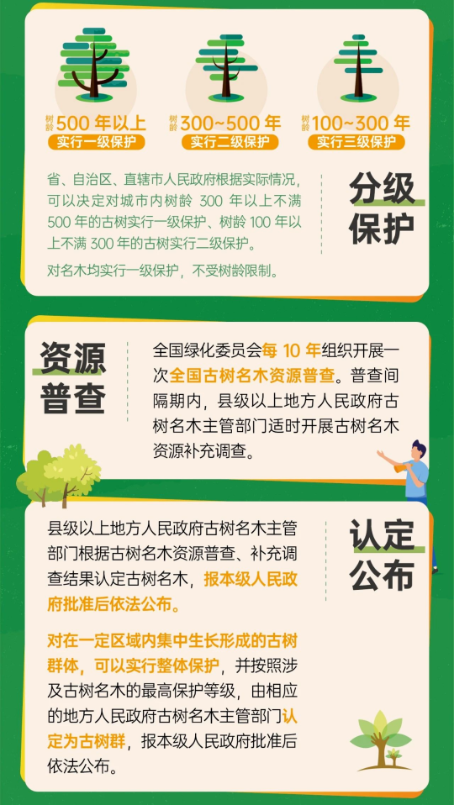 已处理17415678804443.png