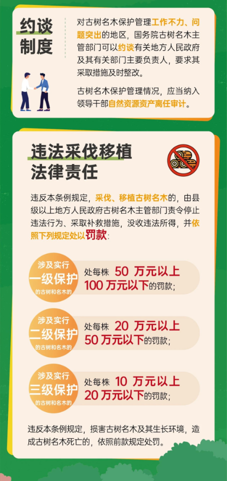 已处理17415678804446.png