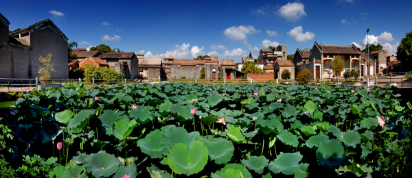 古村荷香.jpg 古村荷香.jpg