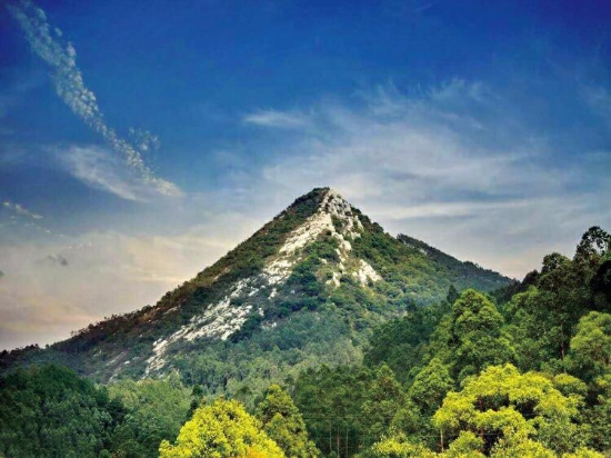 已处理154397362268022.jpg 已处理154397362268022.jpg