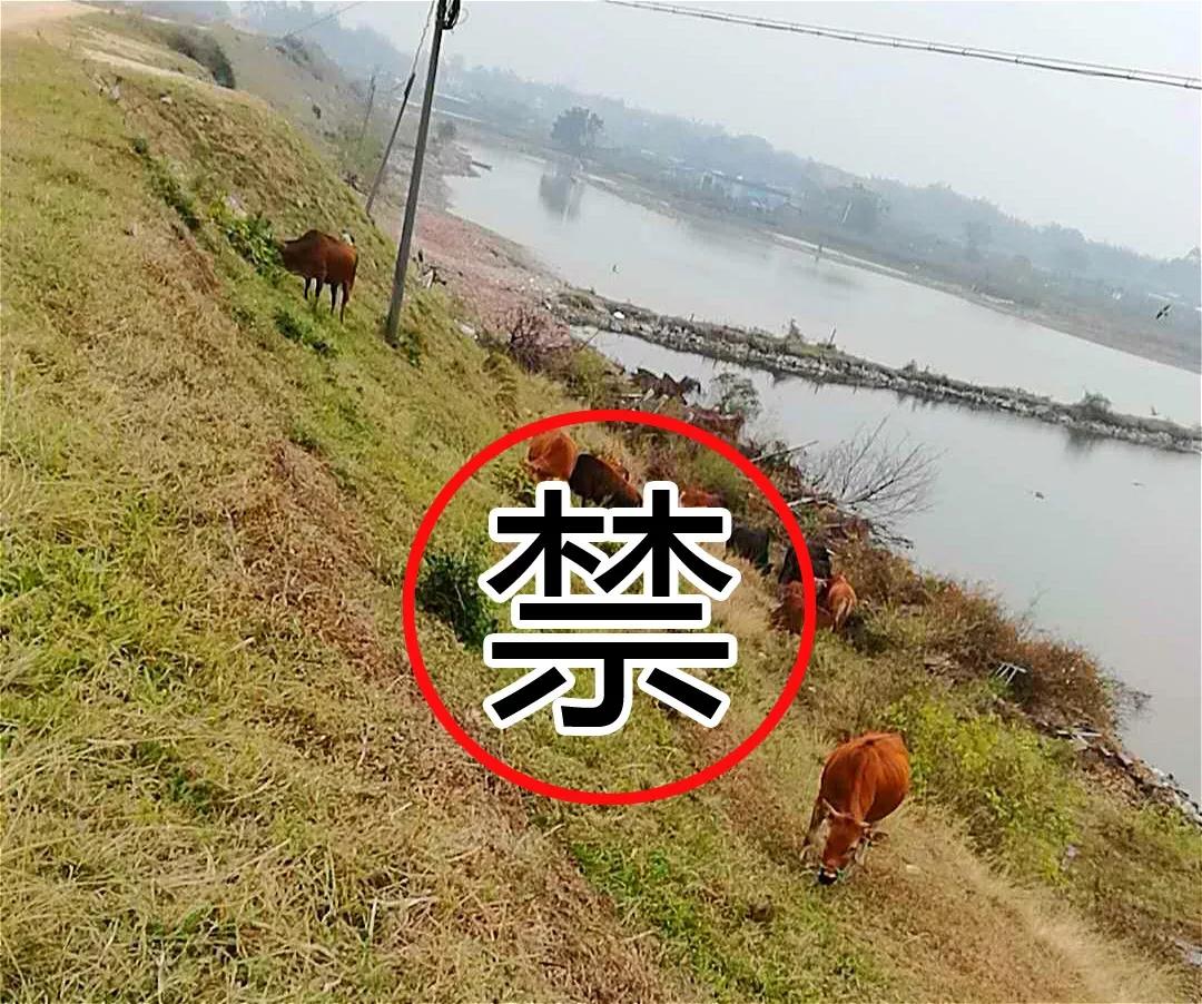 微信图片_20180227180239.JPG 微信图片_20180227180239.JPG