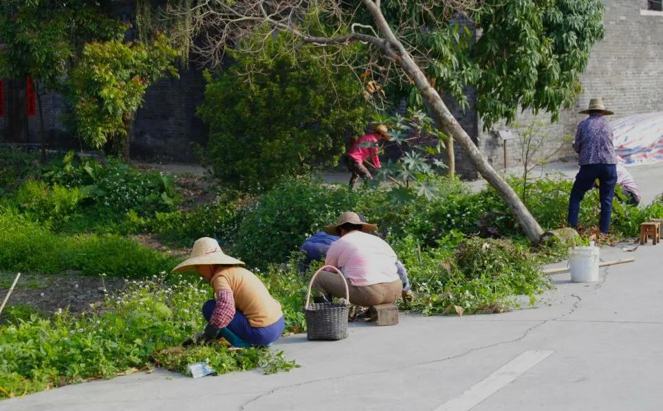 微信图片_20180313184108.JPG 微信图片_20180313184108.JPG